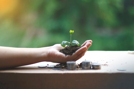 10 Free Things Every Frugal Gardener Should Be Using (And Exactly How to Use Them)